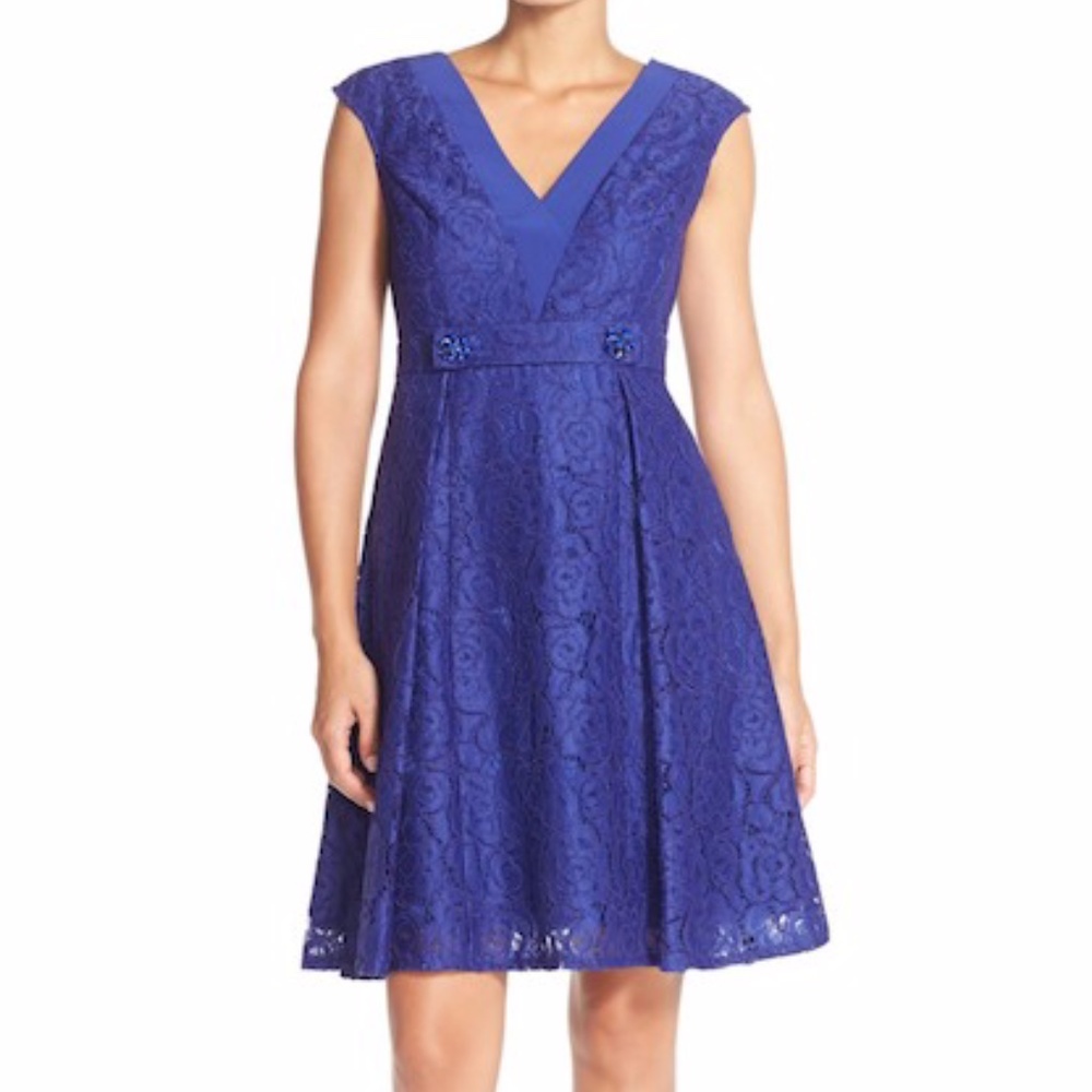 Adrianna Papell Embellished Lace Fit & Flare Dress